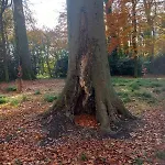 Дом отдыха Grove View Log House *