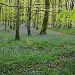 Grove View Log House Дом отдыха Templearum