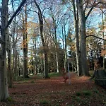 Grove View Log House * Templearum