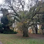 Grove View Log House Дом отдыха