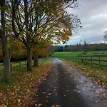 Дом отдыха Grove View Log House