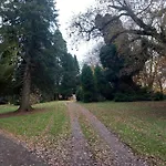 Grove View Log House