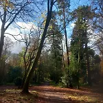 Grove View Log House Дом отдыха