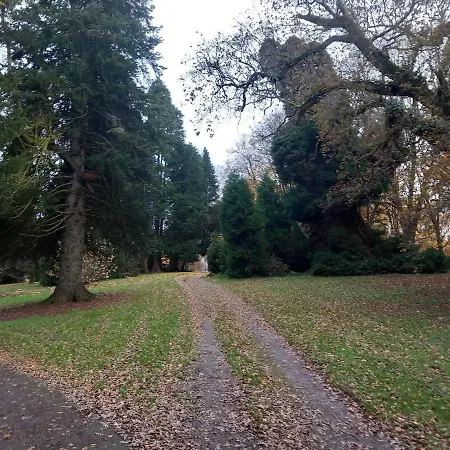 Grove View Log House